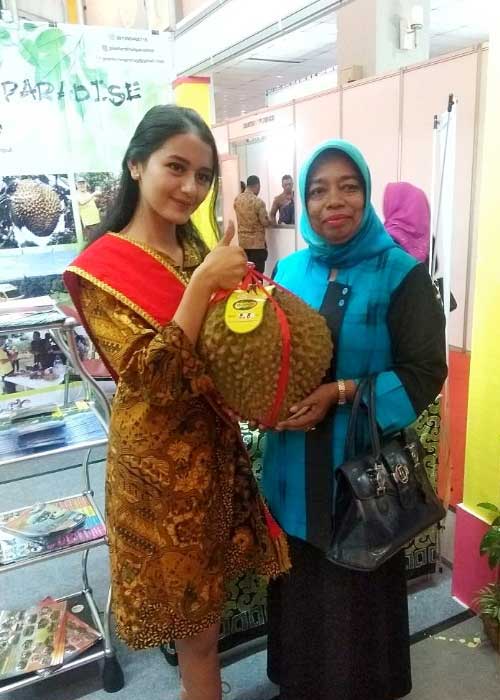 jogja expo