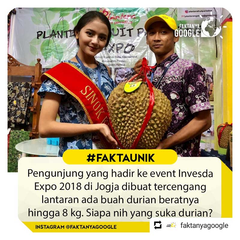 jogja expo 4